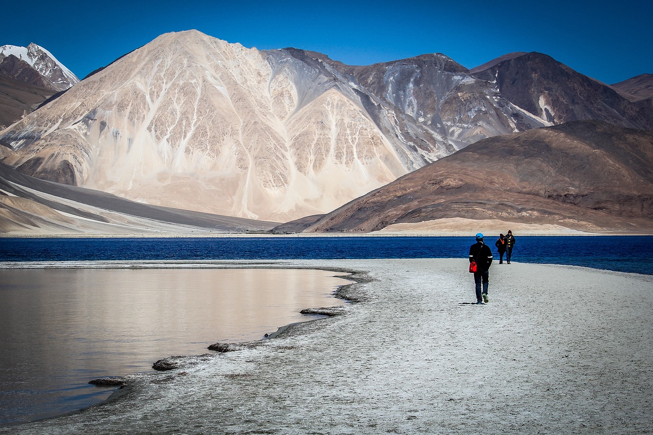 Ladakh Mountains